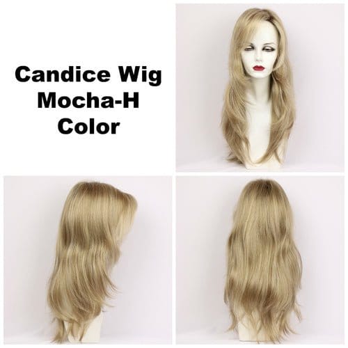 Candice Synthetic Wig by Godiva Secret Wigs | Basic Cap - Image 22