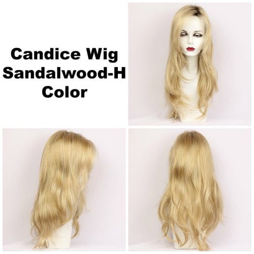 Candice Synthetic Wig by Godiva Secret Wigs | Basic Cap - Image 24