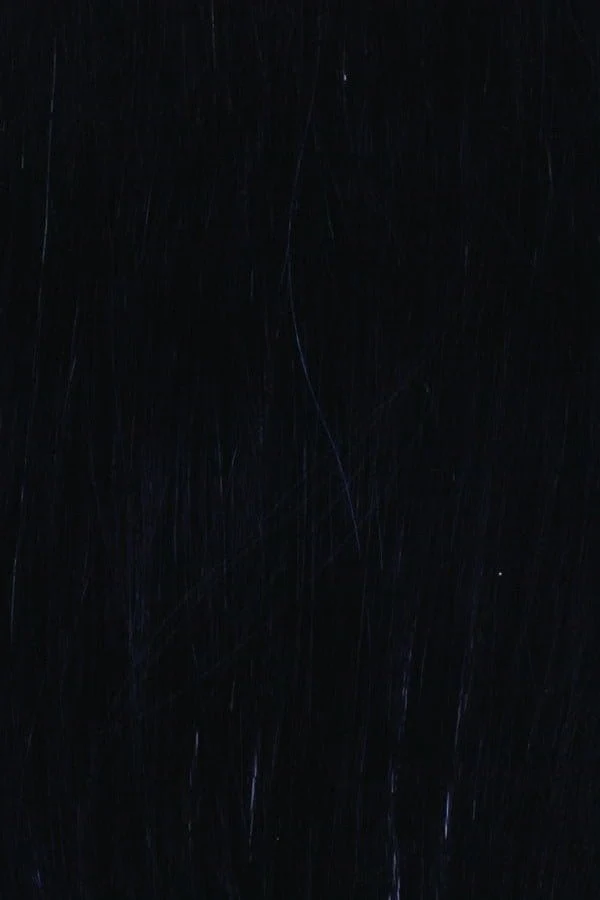 Center Stage by Raquel Welch | Synthetic Lace Front Wig | Hand Tied - Image 6