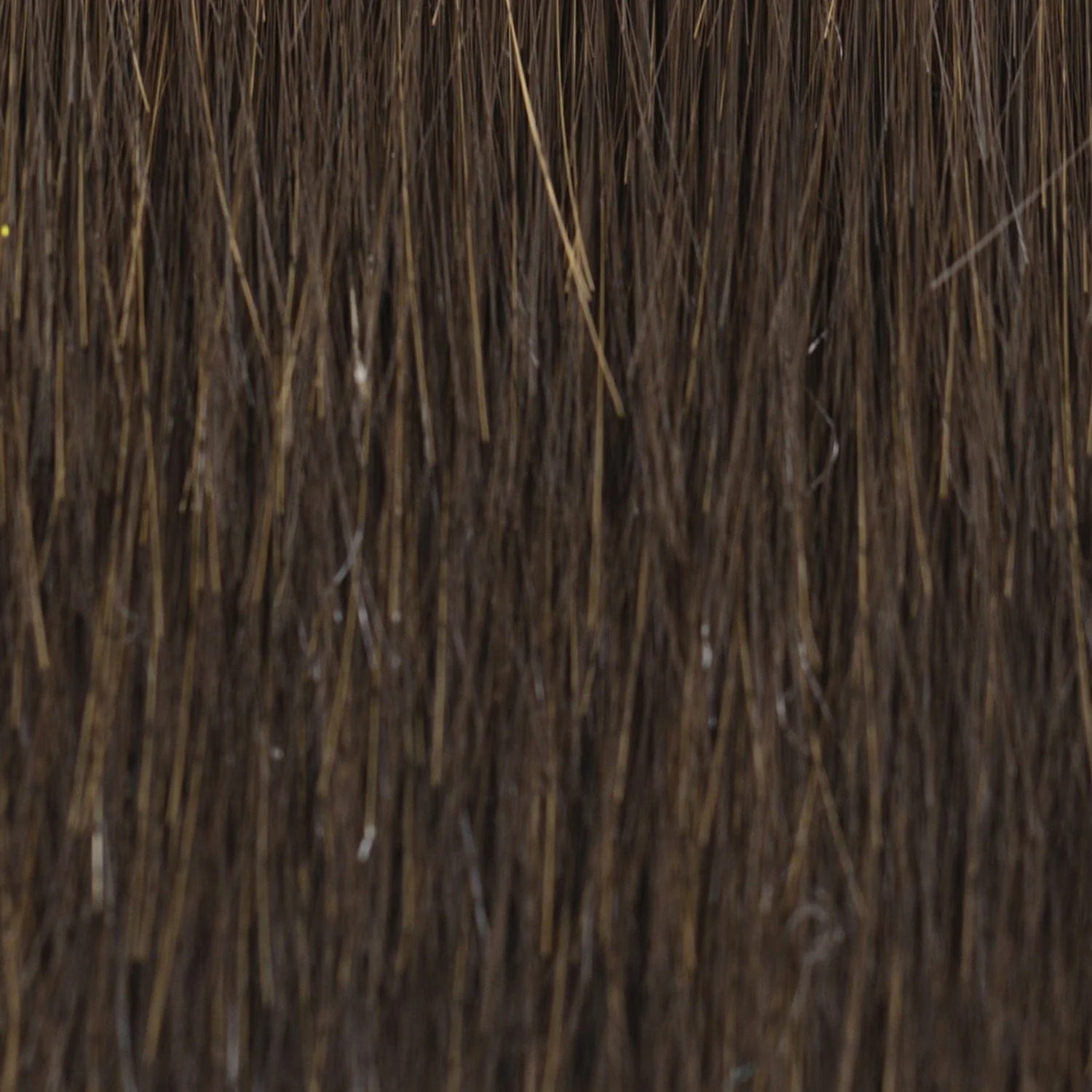 Chopped Pixie by TressAllure | HF Synthetic Lace Front Wig | Mono Top - Image 11