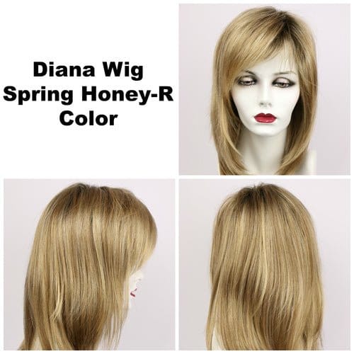 Diana Synthetic Wig by Godiva Secret Wigs | Lace Front - Image 16