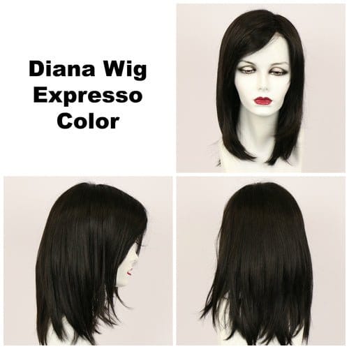 Diana Synthetic Wig by Godiva Secret Wigs | Lace Front - Image 6