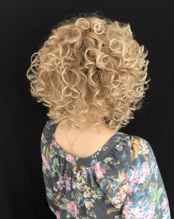 Jamila Plus by Ellen Wille | Synthetic Lace Front Wig by Ellen Wille - Image 3