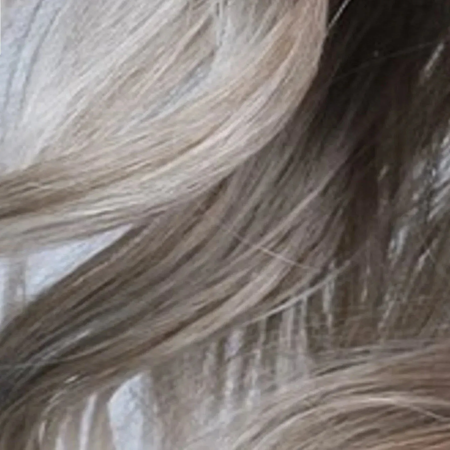 Juliette by PUSH | HF Synthetic Lace Front Wig | Mono Top - Image 28