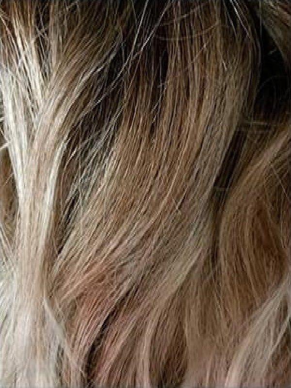 Open Box | Kason by Rene of Paris | Synthetic Wig | Basic Cap | Melted Marshmallow - Image 12