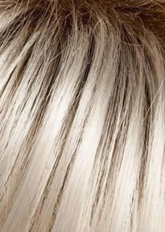Play it Straight by Raquel Welch | Synthetic Lace Front Wig | Mono Part - Image 29