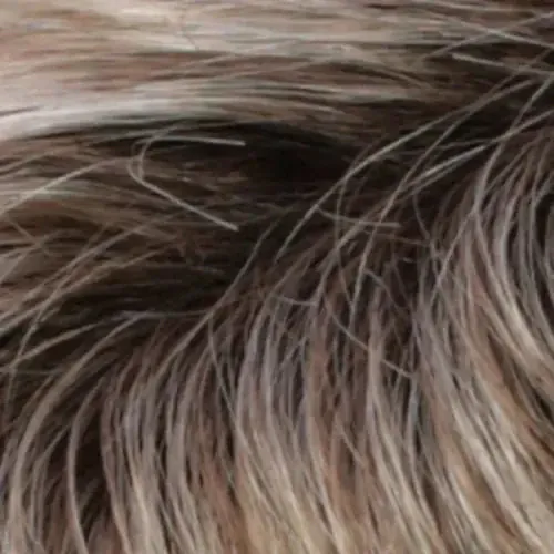 Verona by Estetica | Synthetic Lace Front Wig | Mono Top - Image 29